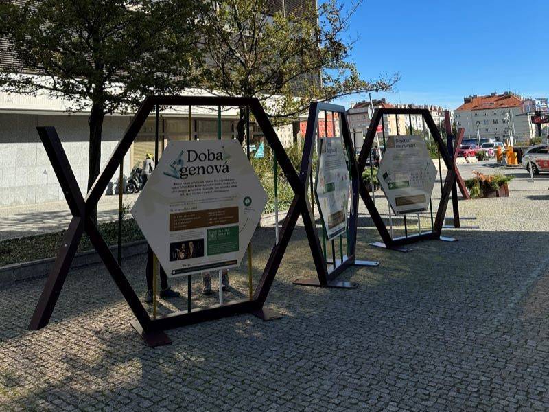 prejdi na doba-genova